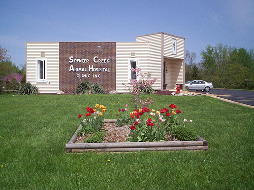 Spencer Creek Animal Hospital