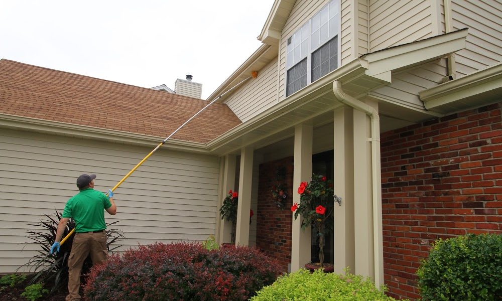 All Solutions Pest Control