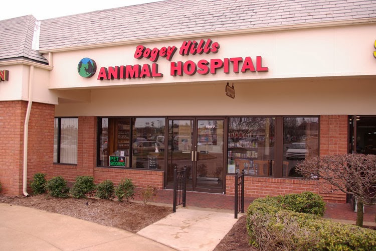 Bogey Hills Animal Hospital