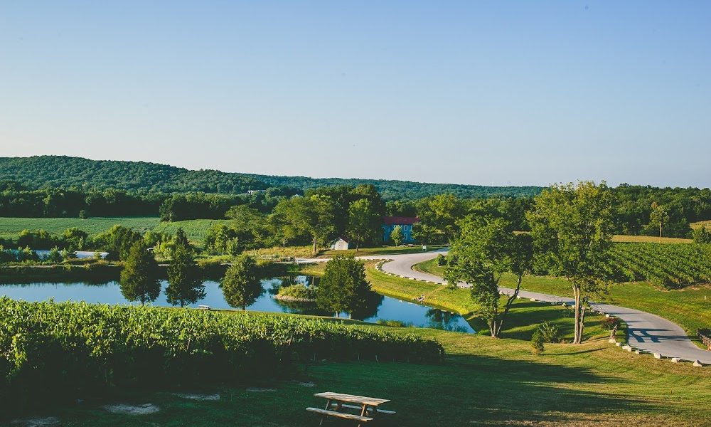 Chandler Hill Vineyards