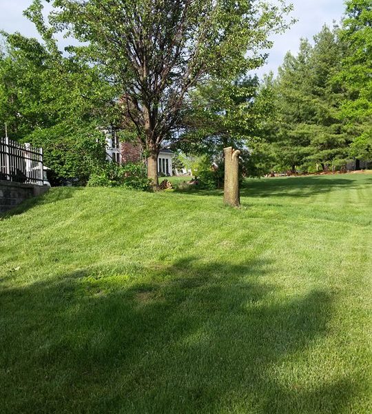 G L L Tree Removal