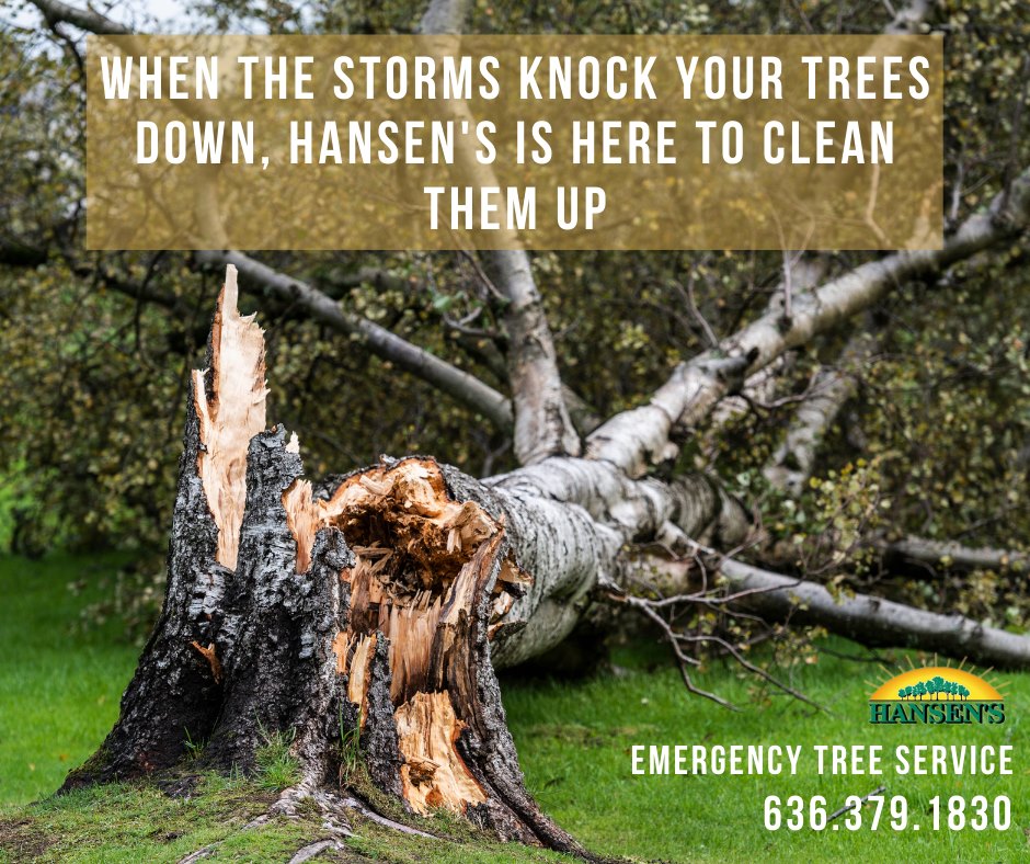 Hansen’s Tree Service & Environmental Resources