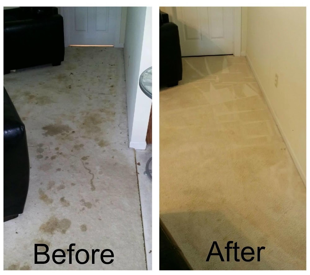 ProSteam Carpet Care & Restoration