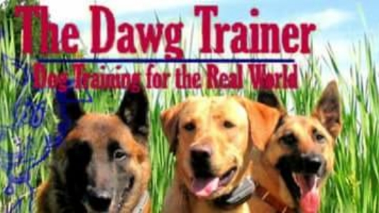 The Dawg Trainer